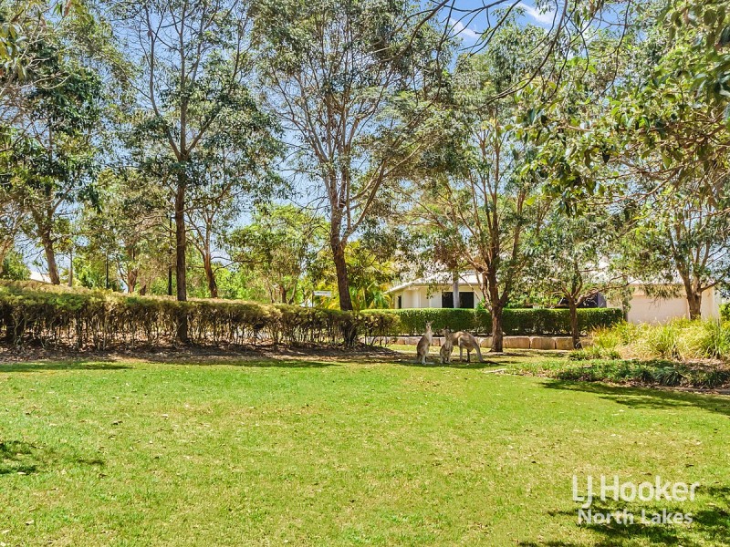 2 Wilga Street, North Lakes QLD 4509