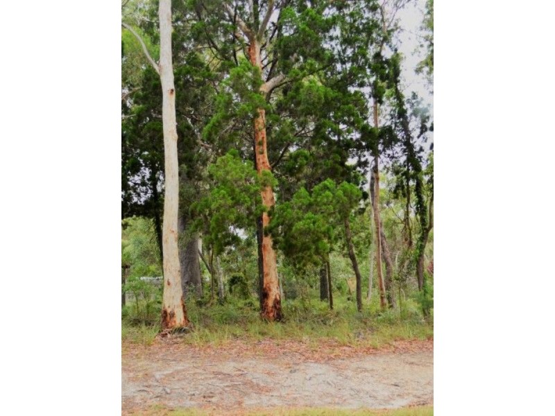 17 Morwong Street, Macleay Island QLD 4184