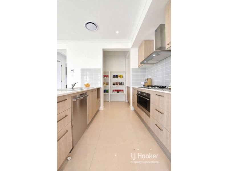 41 Northmarque Street, Carseldine QLD 4034