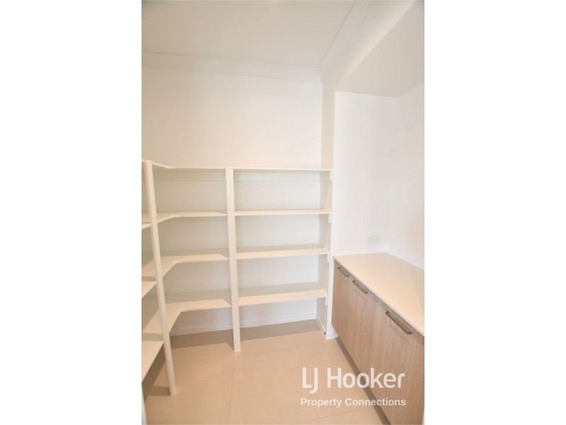 41 Northmarque Street, Carseldine QLD 4034