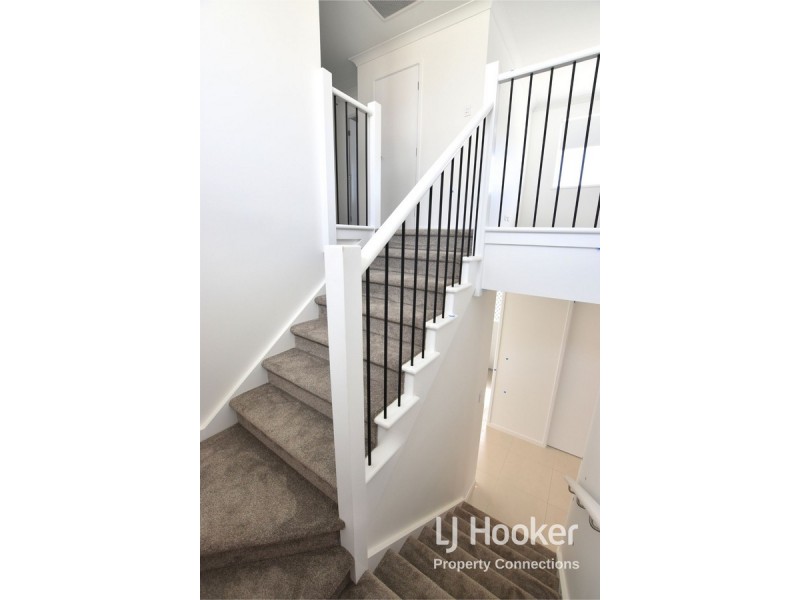 41 Northmarque Street, Carseldine QLD 4034