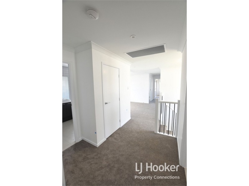 41 Northmarque Street, Carseldine QLD 4034