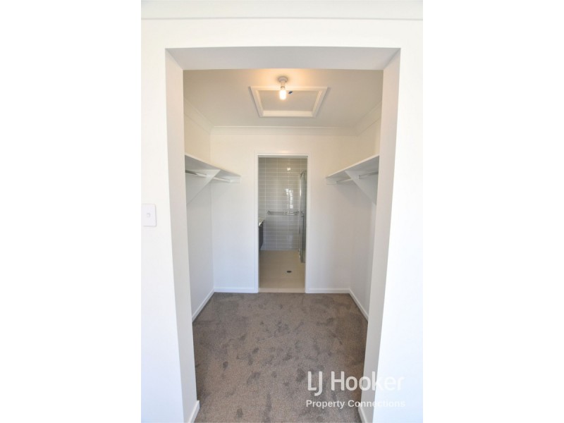 41 Northmarque Street, Carseldine QLD 4034