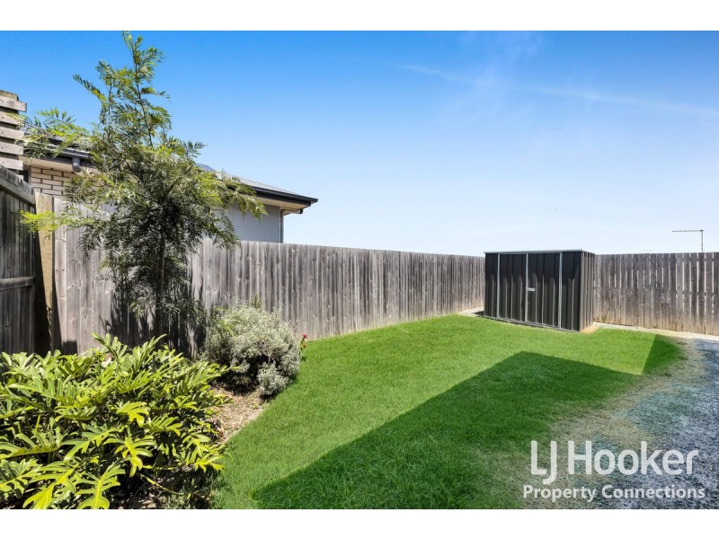 38 Tattler Street, Mango Hill QLD 4509