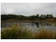Burpengary QLD 4505
