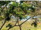 Mango Hill QLD 4509
