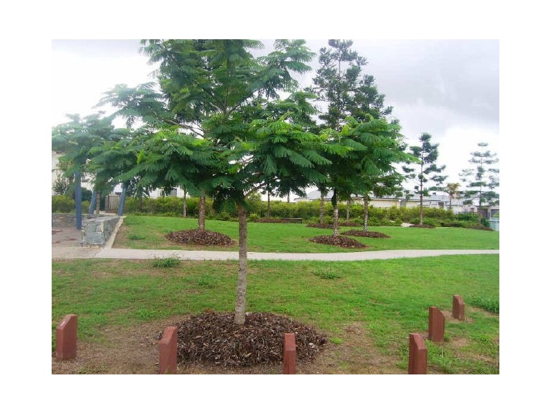 Murrumba Downs QLD 4503