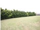 Mango Hill QLD 4509