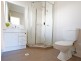 17 Silkpod Circuit, North Lakes QLD 4509