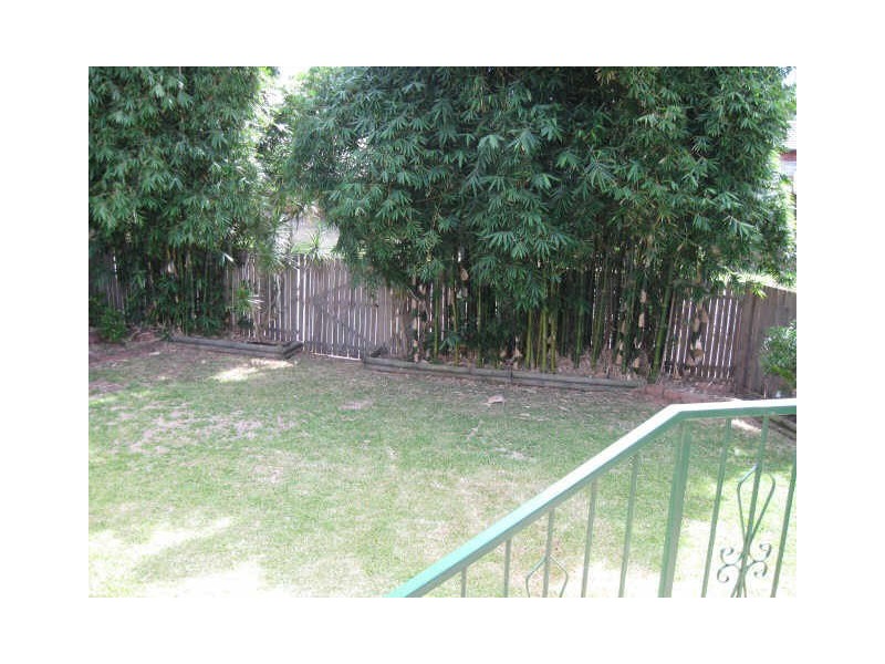 3 Woolcott St, Earlwood NSW 2206