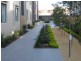 43/553 New Canterbury Rd, Dulwich Hill NSW 2203