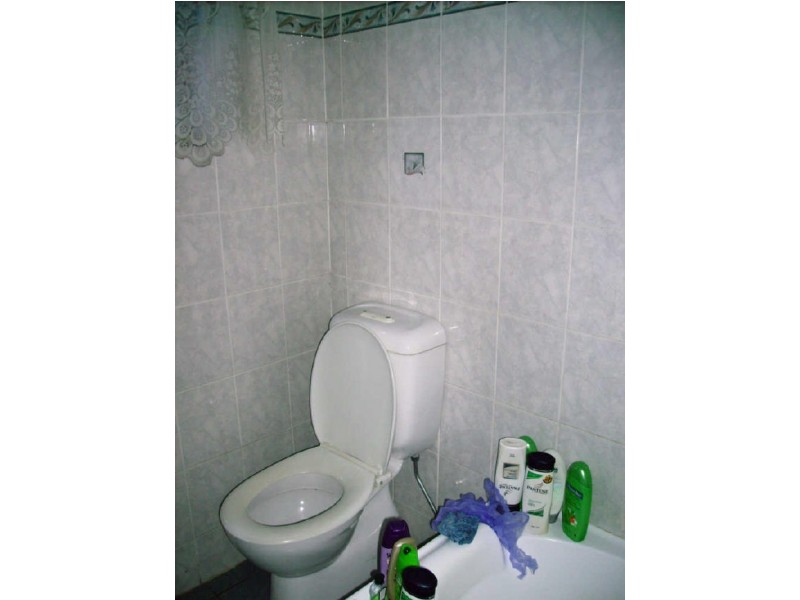 13 Barton Avenue, Hurlstone Park NSW 2193