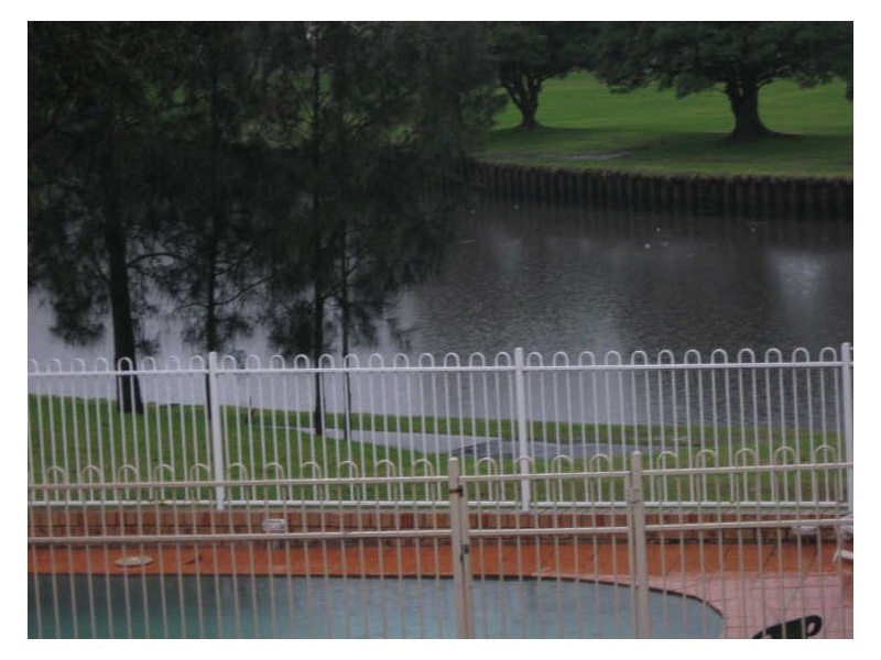 20/121 Riverview Road, Earlwood NSW 2206