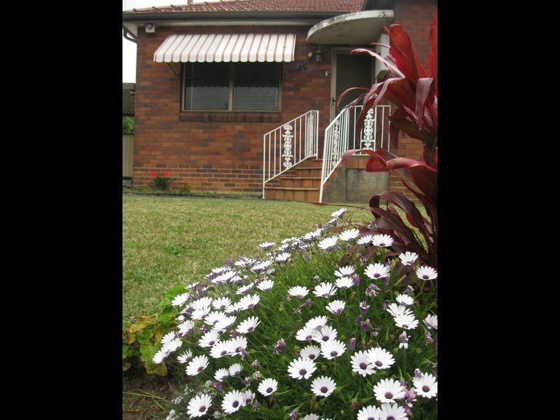 41 Alfred Street, Clemton Park NSW 2206