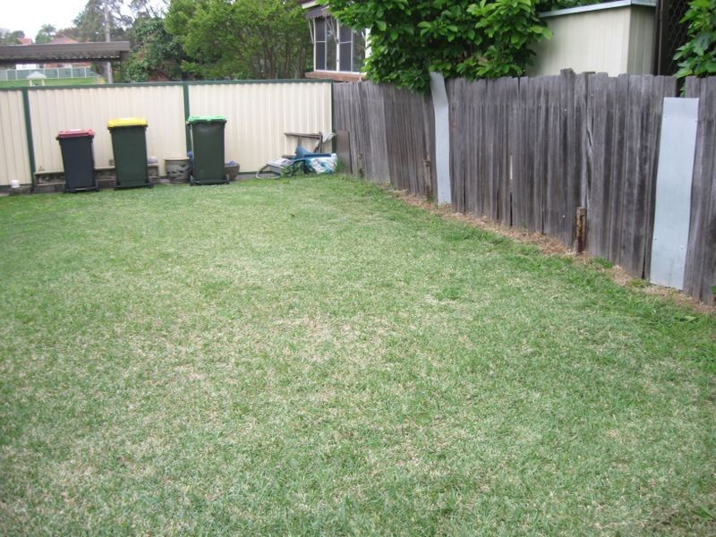 41 Alfred Street, Clemton Park NSW 2206