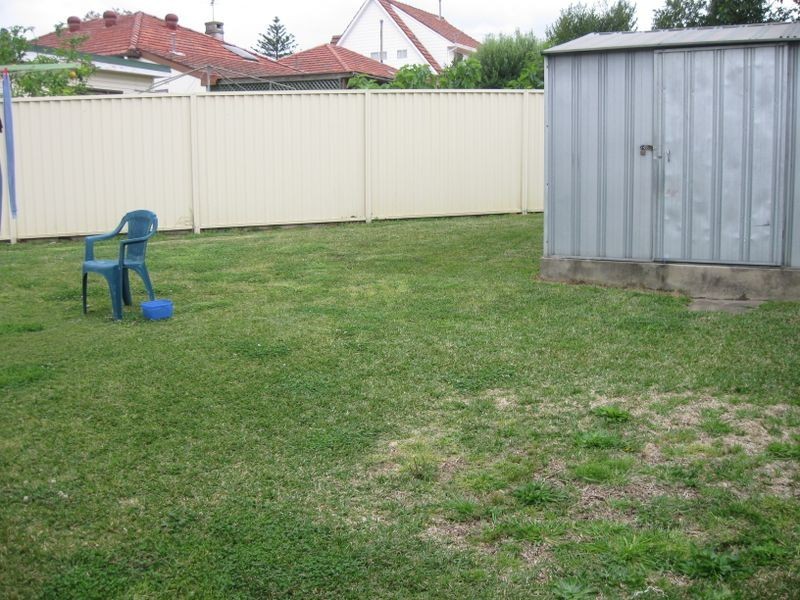 41 Alfred Street, Clemton Park NSW 2206