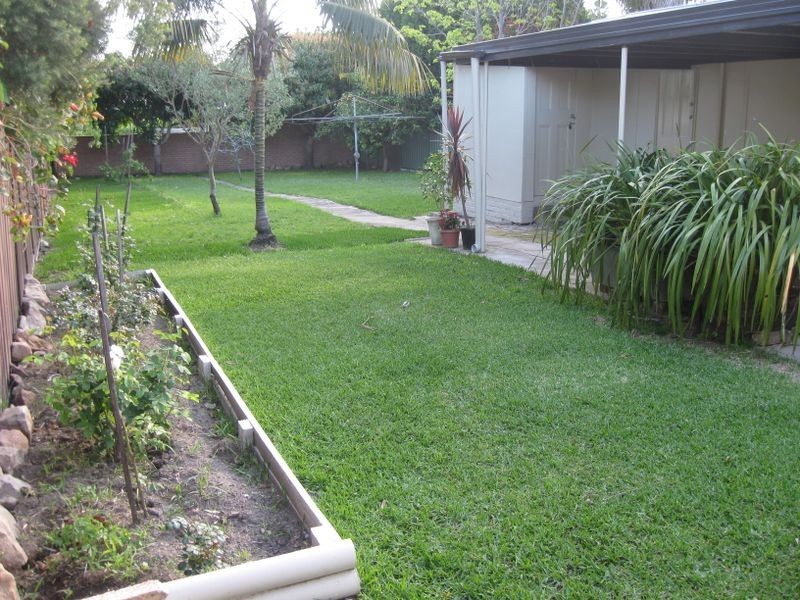 10 Challis Avenue, Dulwich Hill NSW 2203