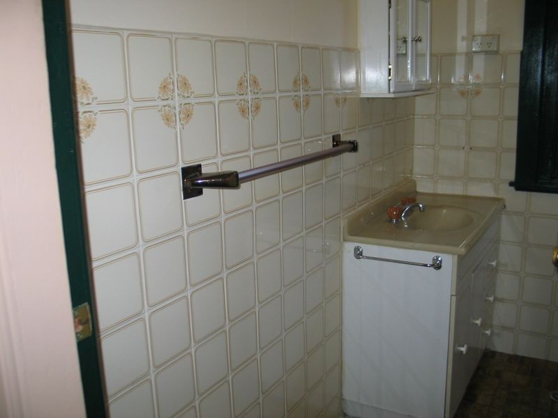 48 Canterbury Road, Hurlstone Park NSW 2193