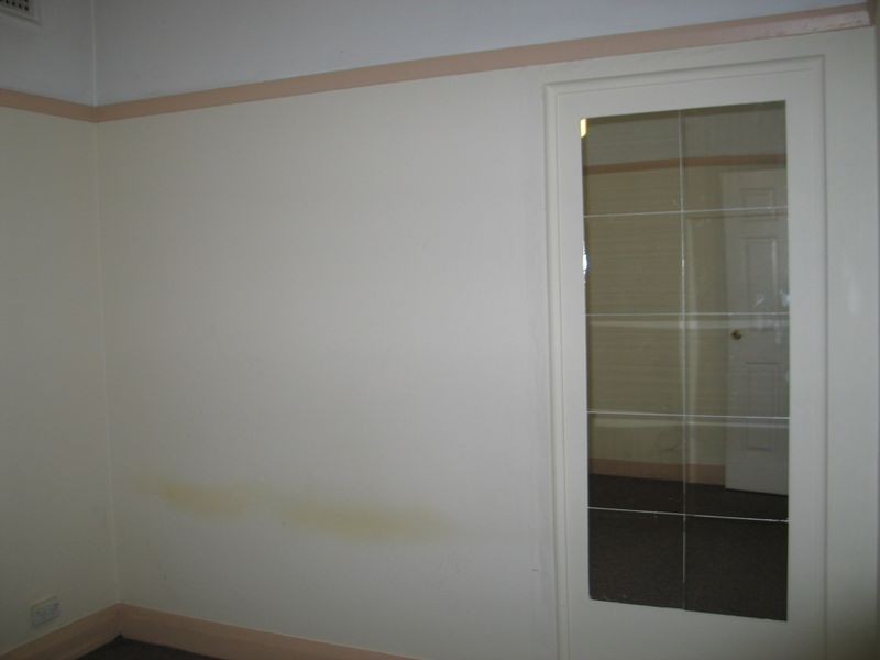 48 Canterbury Road, Hurlstone Park NSW 2193