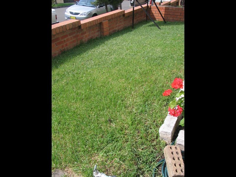 20A William Street, Marrickville NSW 2204