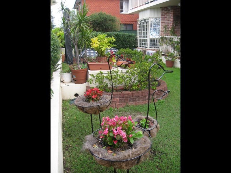 1/34-36 Terrace Road, Dulwich Hill NSW 2203