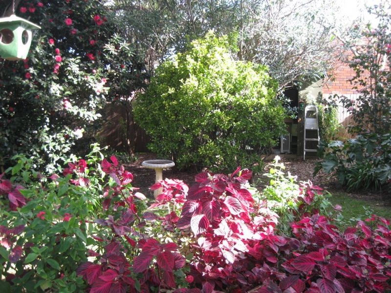 38 Dixson Avenue, Dulwich Hill NSW 2203