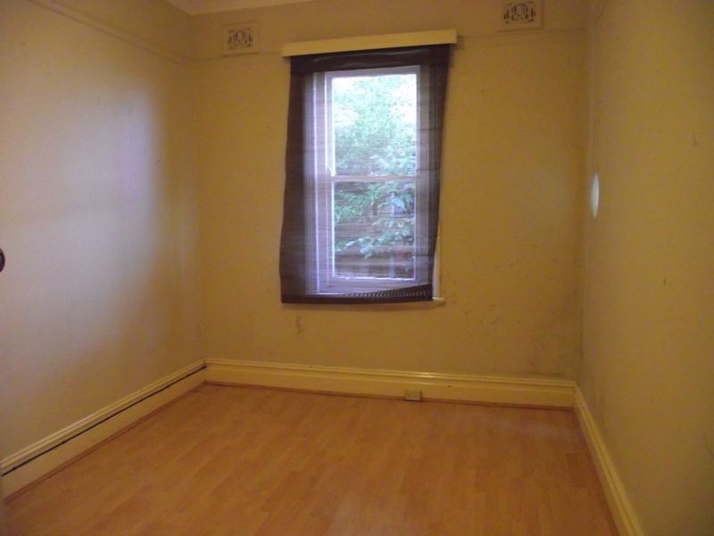 11 Mount Street, Hurlstone Park NSW 2193