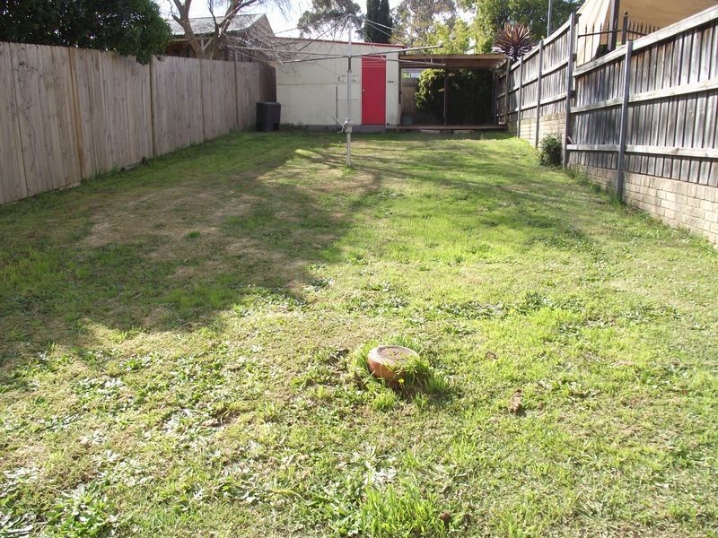 11 Mount Street, Hurlstone Park NSW 2193