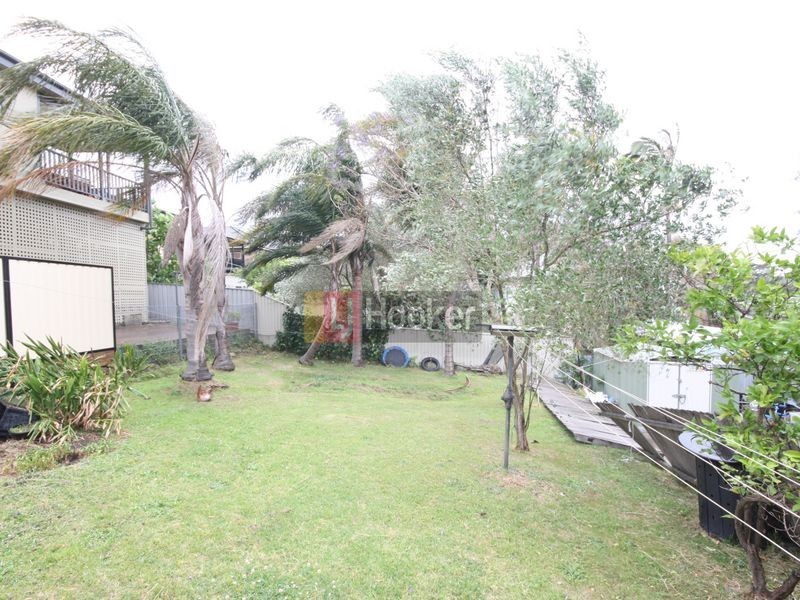 103 Minter Street, Canterbury NSW 2193