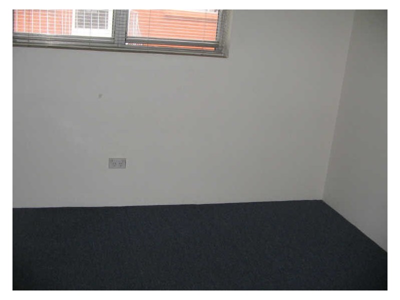 4/287 Wardell Rd, Dulwich Hill NSW 2203