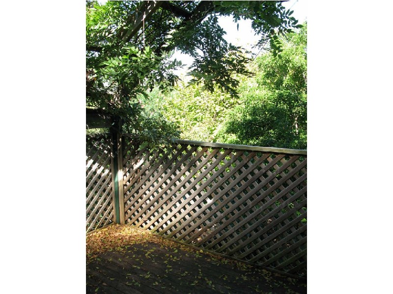 3 Abergeldie St, Dulwich Hill NSW 2203