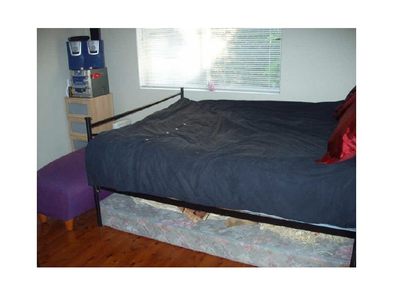 1/358 Livingstone Rd, Marrickville NSW 2204