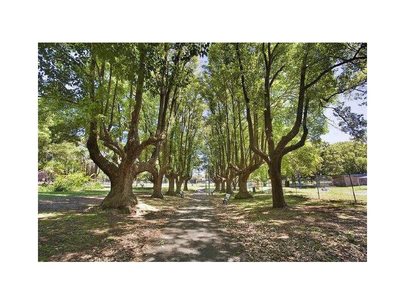 42 Andreas St, Petersham NSW 2049