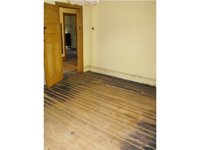 4 Pine St, Marrickville NSW 2204