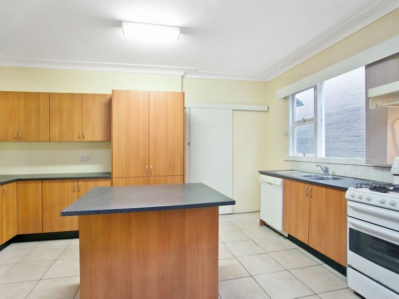 19 Crystal Street, Petersham NSW 2049