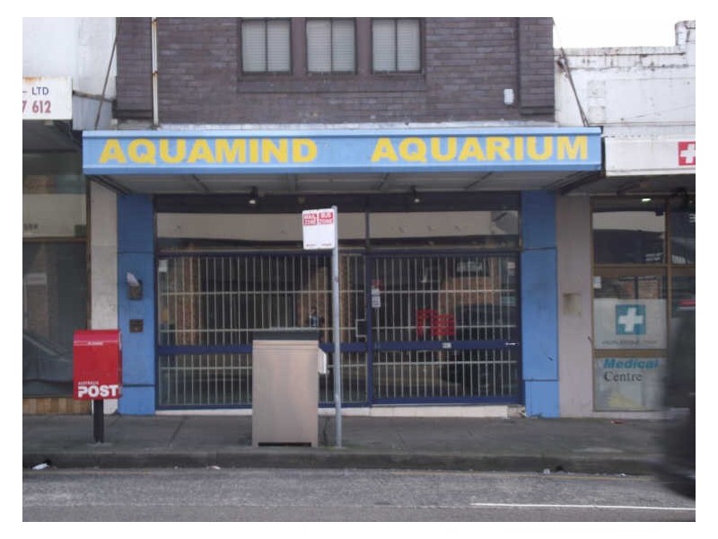 861 New Canterbury Rd, Hurlstone Park NSW 2193