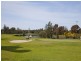 30 Tennent Parade, Hurlstone Park NSW 2193
