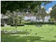 341-343 Canterbury Road, Canterbury NSW 2193