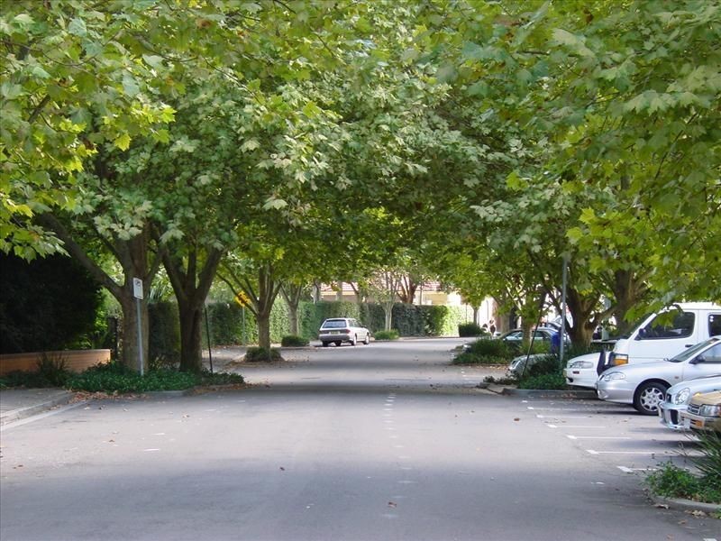 18/8 Williams Parade, Dulwich Hill NSW 2203