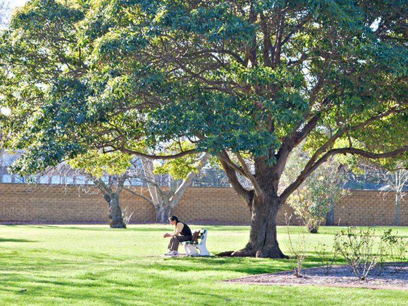 32 Macarthur Parade, Dulwich Hill NSW 2203