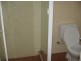 9/287 Wardell Rd, Dulwich Hill NSW 2203