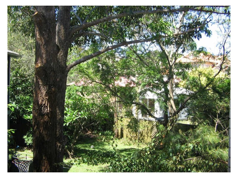 1/29 Foord Street, Hurlstone Park NSW 2193