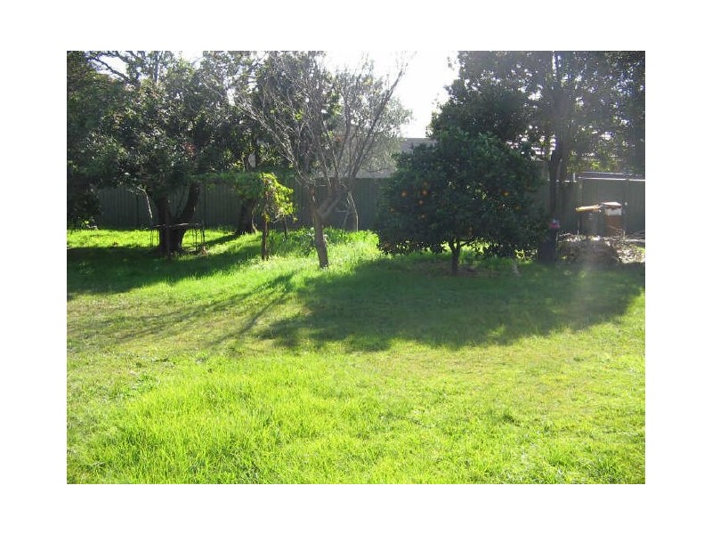 107 Bayview Ave, Earlwood NSW 2206