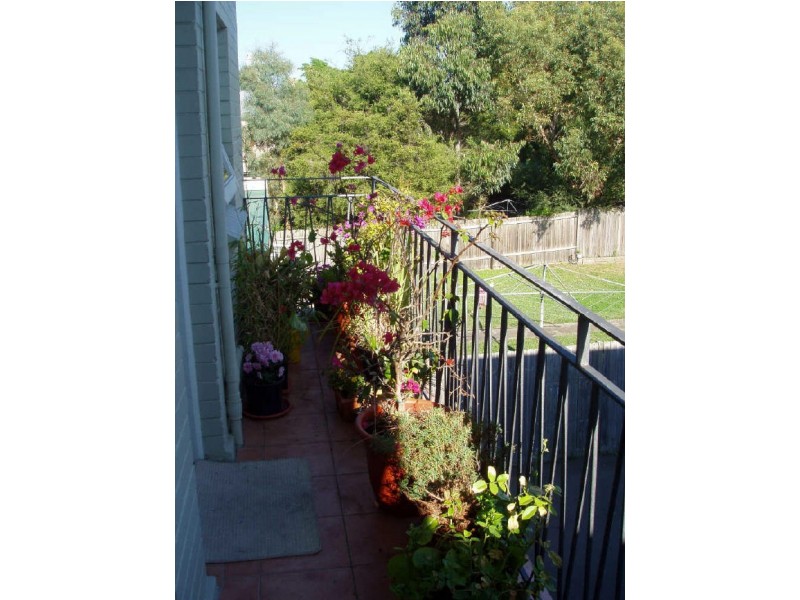 8/191 Wardell Rd, Dulwich Hill NSW 2203