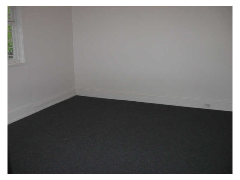 19 Harriet Street, Marrickville NSW 2204