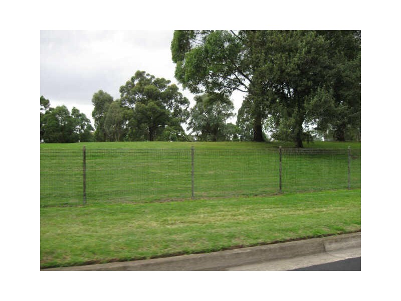 8/2 Corby Ave, Concord NSW 2137