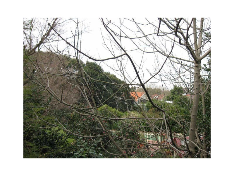 9/29 Pine St, Marrickville NSW 2204