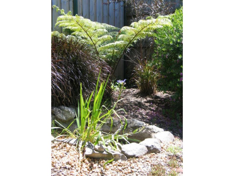 17 Queen St, Marrickville NSW 2204