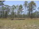 Foreshores QLD 4678