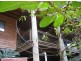 22 Sayre Crescent, Boyne Island QLD 4680